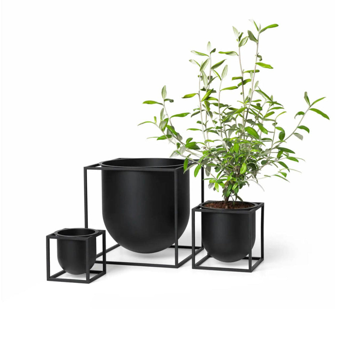 Audo - Kubus Flowerpot - Skandium London
