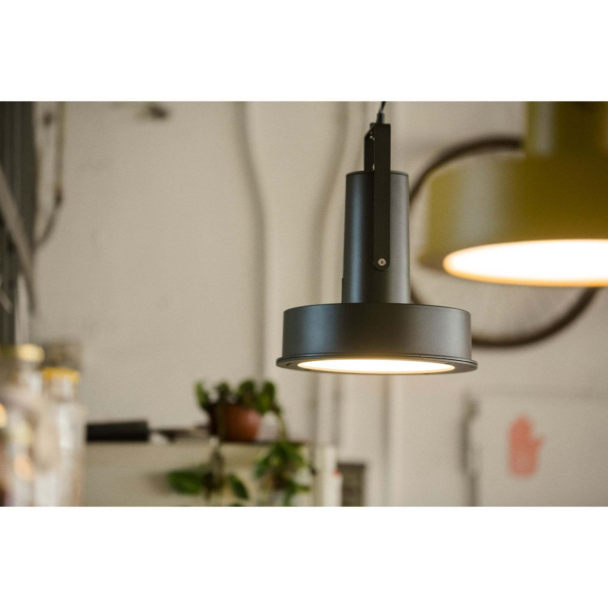 Arne Domus Pendant Lamp | Santa & Cole | Skandium London